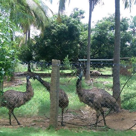 Mango Village Farm House Nelliyampathy Kültér fotó